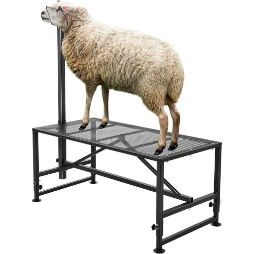 Adjustable Livestock Trimming Stand