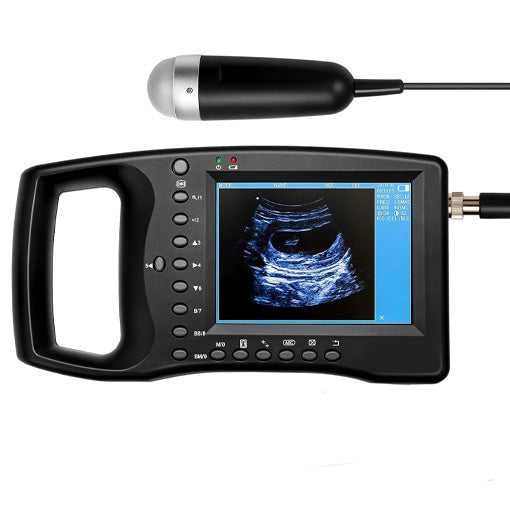 Portable Veterinary Ultrasound Scanner