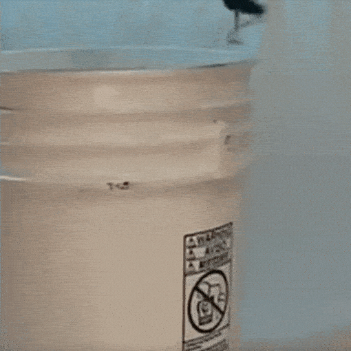 Bucket Shoulder Carrying Strap