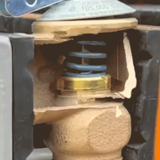 Temperature and Pressure Relief Valve