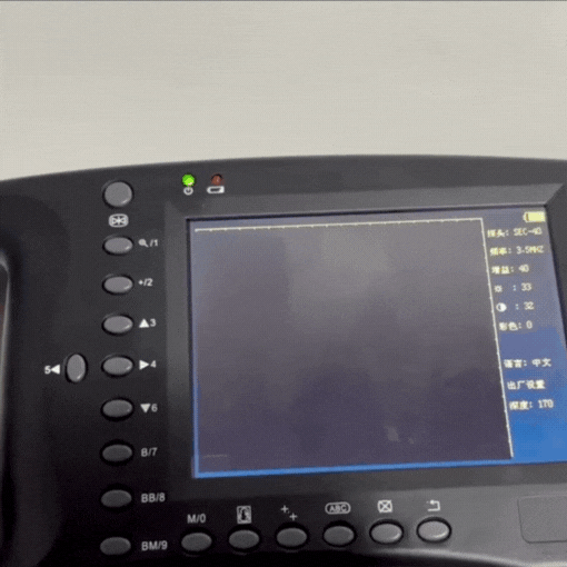 Portable Veterinary Ultrasound Scanner