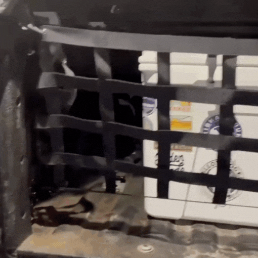 Truck Bed Tailgate Net