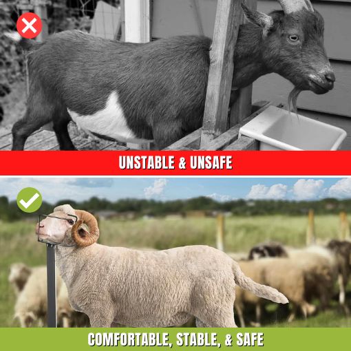 Adjustable Livestock Trimming Stand