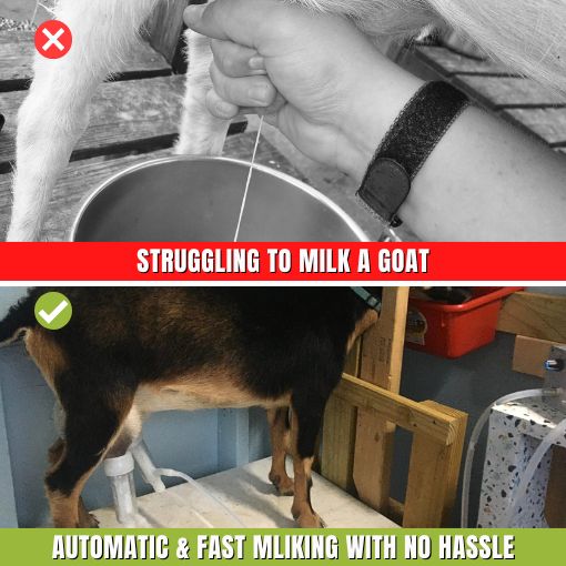 Auto Stop Goat Milking Machine