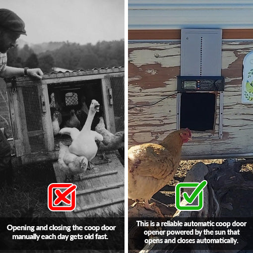 Automatic Chicken Coop Door Opener