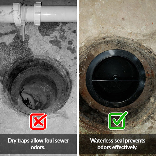 Drain Sewer Waterless Trap Seal