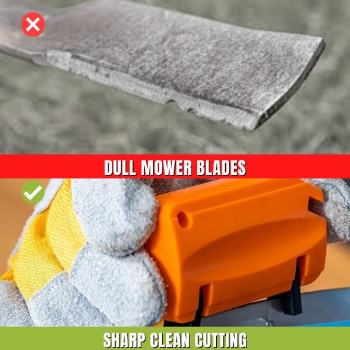 Reel Lawn Mower Blade Quick Handheld Sharpener