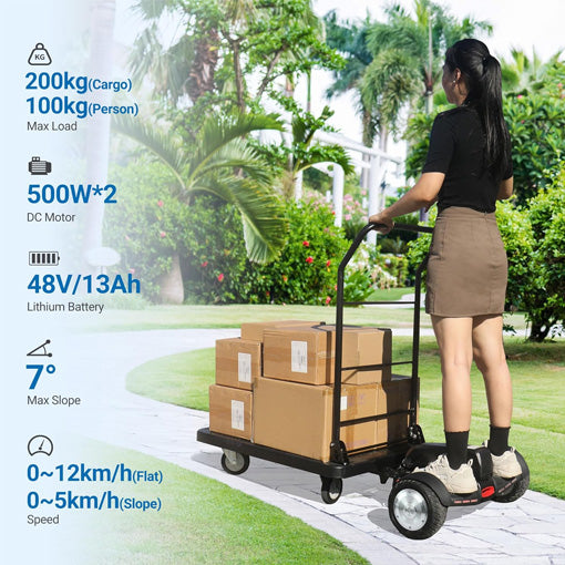 Heavy Duty Motorized Platform Hand Truck