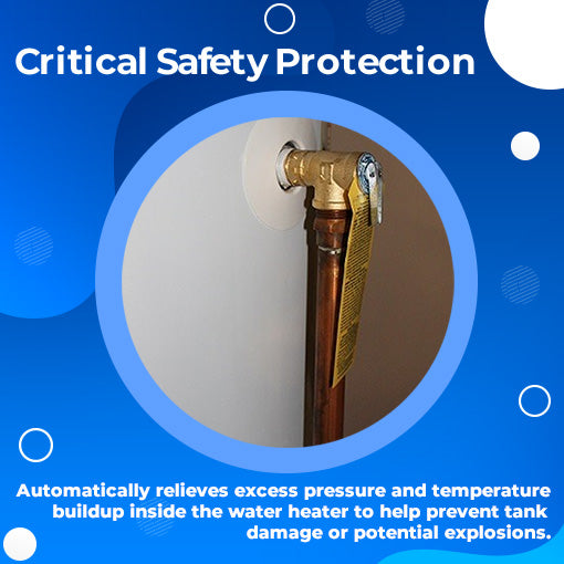 Temperature and Pressure Relief Valve