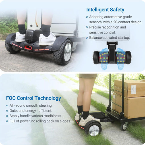 Heavy Duty Motorized Platform Hand Truck