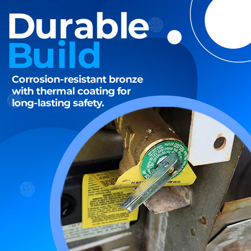 Temperature and Pressure Relief Valve