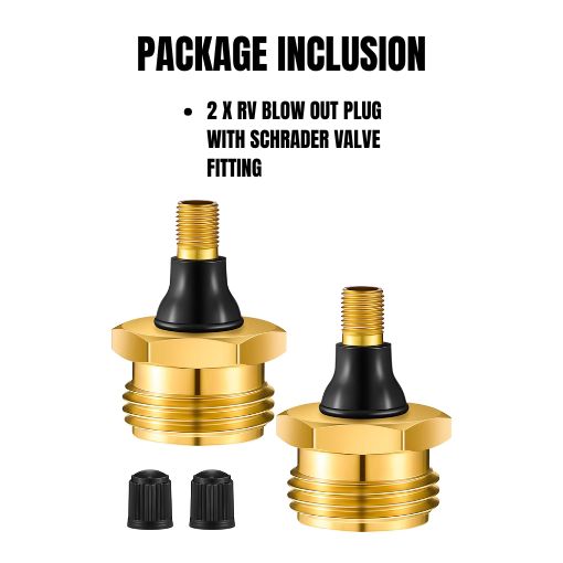2-Pack RV Blow Out Plug with Schrader Valve Fitting