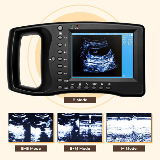 Portable Veterinary Ultrasound Scanner