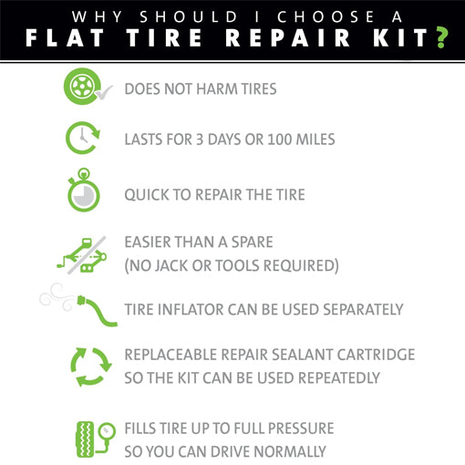 Flat Tire Repair Kit