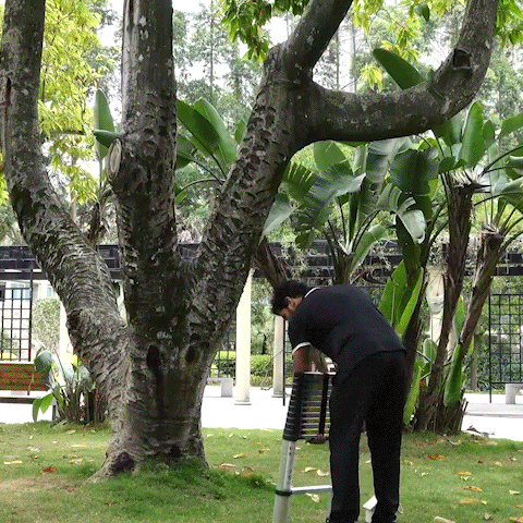 12.5 Ft. Aluminum Telescopic Ladder