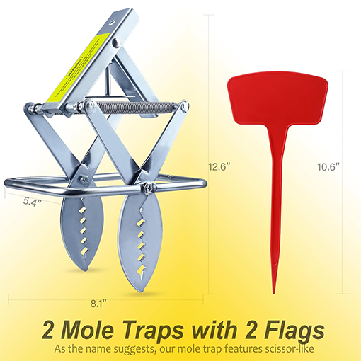 Mole Eliminator