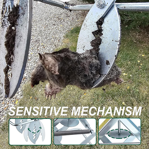 Mole Eliminator